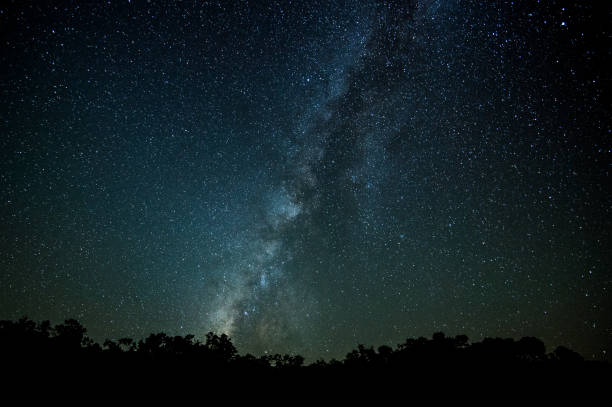 istock Milky way view in Everglades National Park 1436685056