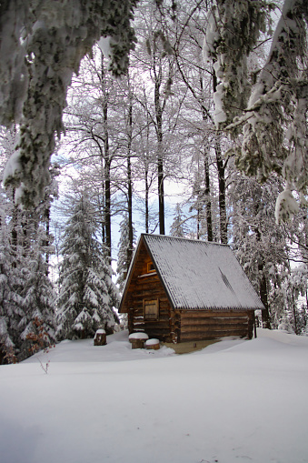 Single wooden cottage house in the middle of white forest during winter