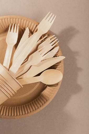 Disposable tableware from natural materials, wooden spoon, fork, knife. Biodegradable plate, Compostable cutlery