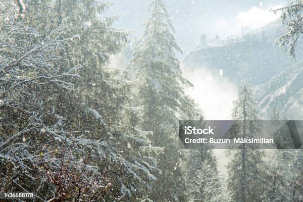 Snow Fell In Subtropical Himalayan Valley For First Time In Decade Stock Photo - Download Image Now