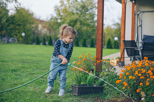 Little girl holding a hose and watering her garden