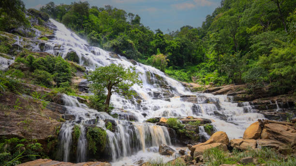 la selva con ecología verde una cascada-río-rocas-cubiertas-con bosque lluvioso-cascada en el bosque en el parque - waterfall river stream mountain fotografías e imágenes de stock