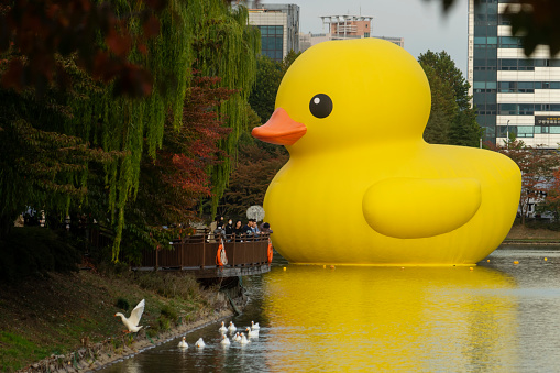 Seoul, South Korea - October 26, 2022: Ducks swim near a giant inflatable rubber duck at Seokchon Lake in Jamsil, as people on a deck look on. The inflatable is an installation by Dutch artist Florentijn Hofman.