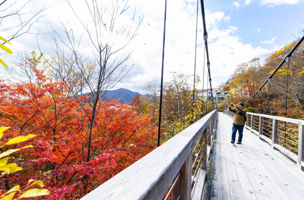 Tokushima, Japan - June 25, 2023: Oku-Iya double vine bridge or Oku-Iya Nijuu Kazura bridge. A suspension bridge made of the plant called Shirakuchikazura.