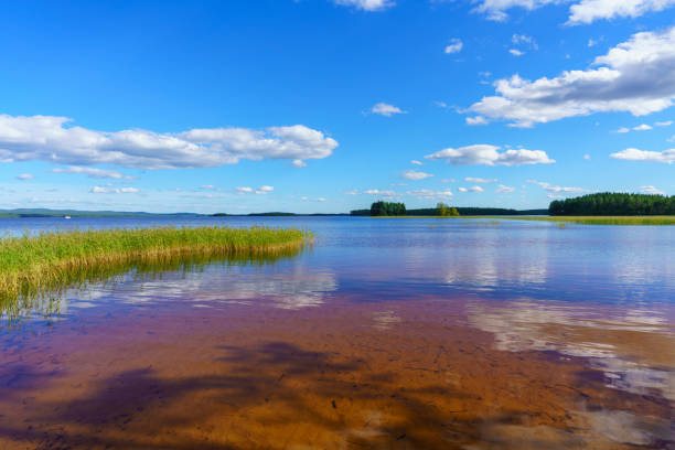 Beautiful summer view with blue sky and sunlight from a natural bathing shore with soft sand, at a blue lake in Sweden