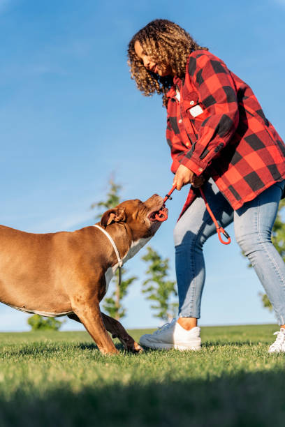 istock African Woman Playing with her Dog 1436707578