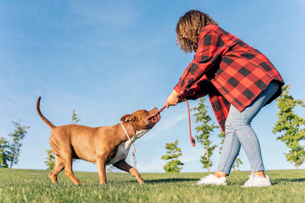 istock African Woman Playing with her Dog 1436707579