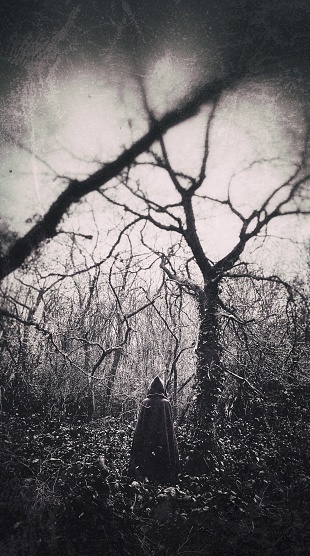 Cloaked figure stands in the trees, with back turned towards the camera