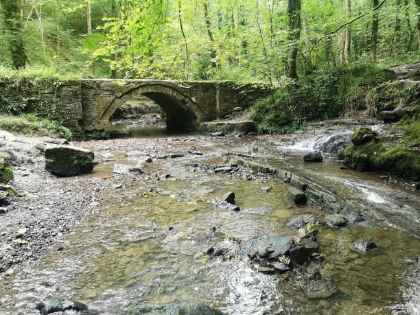 istock Landscape view of a bridge and water surrounded by forest. Ewloe 1436710682