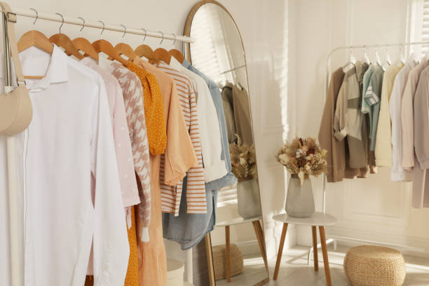 istock Modern dressing room interior with stylish clothes and beautiful dry flowers 1436712214