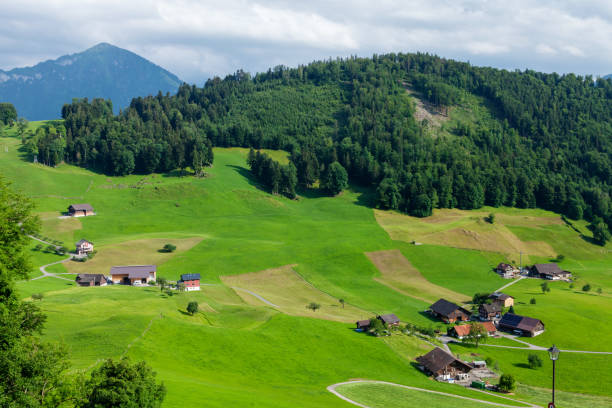 istock Panoramic view of countryside, green alpine meadows and mountains 1436715506
