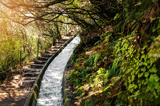 Levada hiking trail in Madeira island