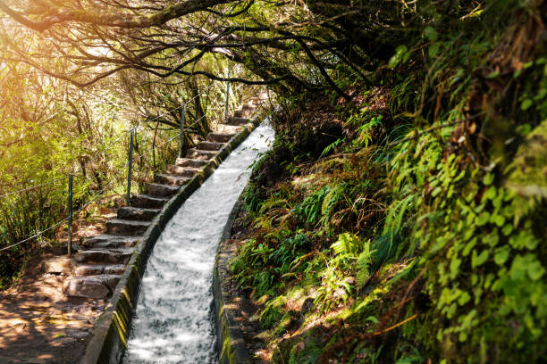 Levada hiking trail in Madeira island stock photo