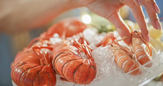 Close-up of womans hand picking lobster into ice plate.