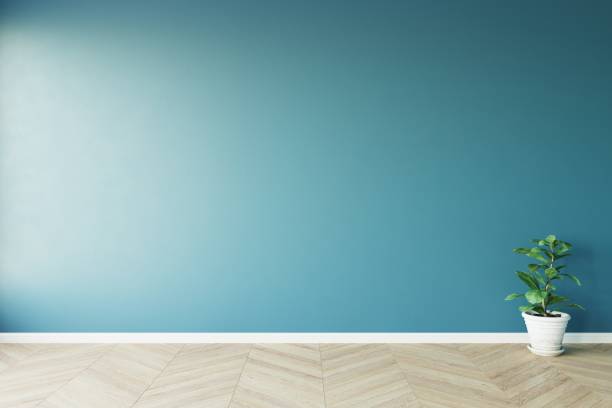 istock View of sun light cast the shadow on blue empty blue wall and light wood laminate floor with white ceramic vase of green plant. 3D illustration 1436723531