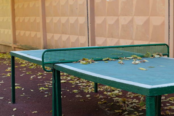 istock outdoor table tennis table in the park 1436726657