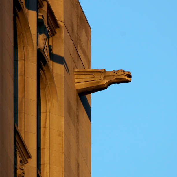 Gargoyle at Golden Hour on the New York Life Building, New York City A Gargoyle at the golden hour on the New York Life Building, New York City new york life building stock pictures, royalty-free photos & images