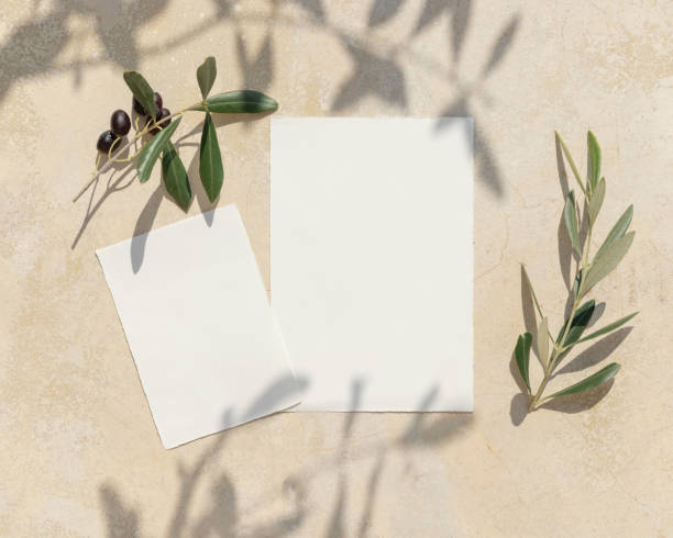 istock Blank cards on concrete table with olive tree branches and hard shadows, wedding mockup 1436729212