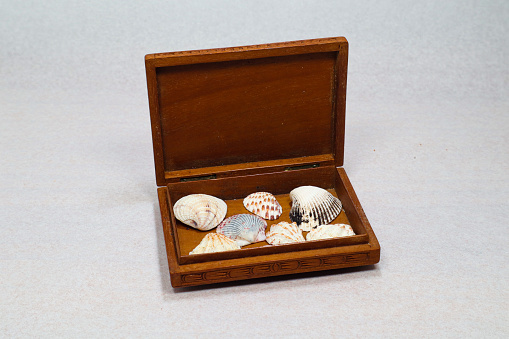 Antique little box with sea shells