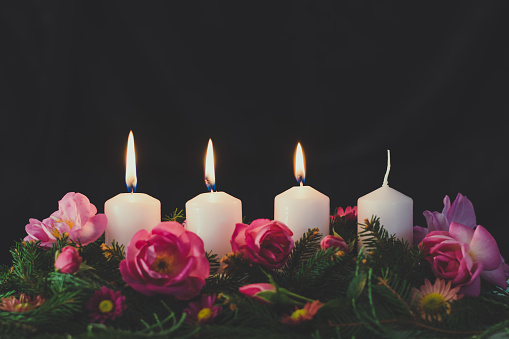 three burning advent candles on decorated rose flower pink advent wreath