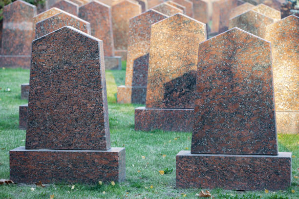 istock empty stone tombstone in a military cemetery. 1436732455