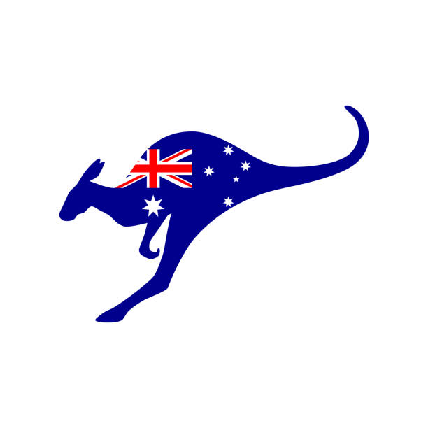 австралийский кенгуру - kangaroo flag australia australian culture stock illustrations