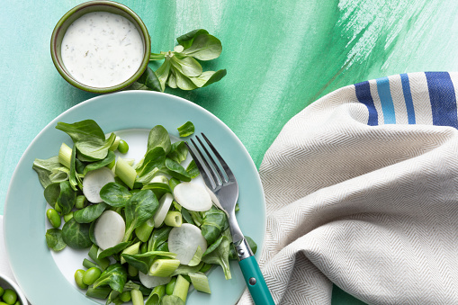 Salads: Green Salad and Ingredients Still Life