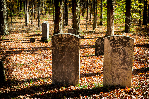 Two pathways, one grassy and the other dirt, inside an old suburban cemetery on a sunny summer day.