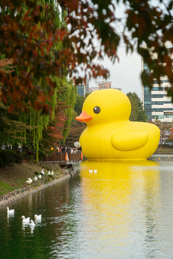 Seoul, South Korea - October 26, 2022: Ducks swim near a giant inflatable rubber duck at Seokchon Lake in Jamsil, as people on a deck look on. The inflatable is an installation by Dutch artist Florentijn Hofman.