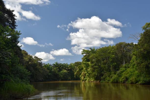 istock River view in Costa Rica 1436743609