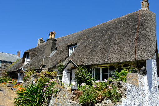 Cadgwith, Cornwall, UK - June 1st, 2020: A pretty thatched cottage in the picturesque Cornish fishing village of Cadgwith on the Lizard Peninsula. Thatched buildings are not common in Cornwall compared to the neighbouring county of Devon due to a lack of the raw material, thatching reeds. Cadgwith is popular with tourists from all over the country enjoying the tranquil nature of the village.