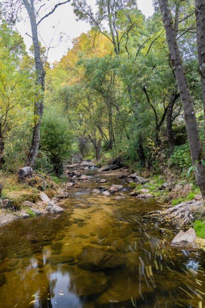 istock wild water stream in the Sierra de Guadarrama, Madrid, 1436750077
