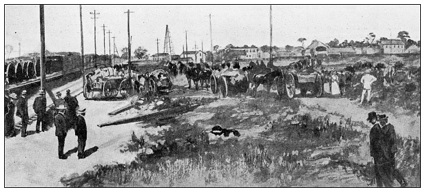 Antique image: Spanish American war, American mobilization in Tampa, artillery
