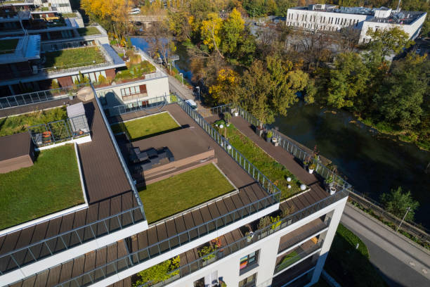 istock greenery on the rooftops of buildings on a sunny day (aerial) 1436754468