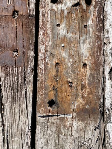 istock Rusted old wooden planks 1436754631
