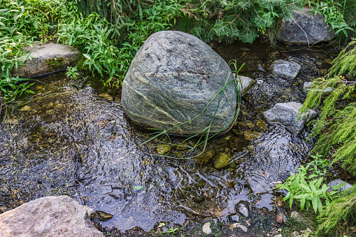 Boulder in small stream in South Seattle, Washington.