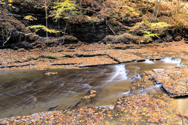 Peaceful Flow, Fillmore Glen Autumn stock photo