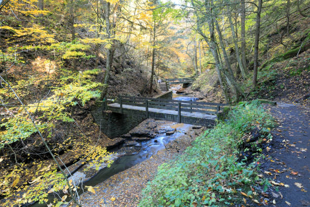 Approach to Bridges on Footpath, Fillmore Glen Autumn stock photo