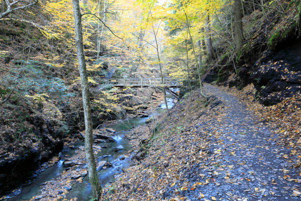Forest Path and Footbridge, Fillmore Glen Autumn stock photo