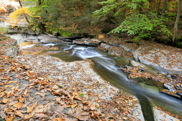istock Over the Brink, Fillmore Glen Autumn 1436755768
