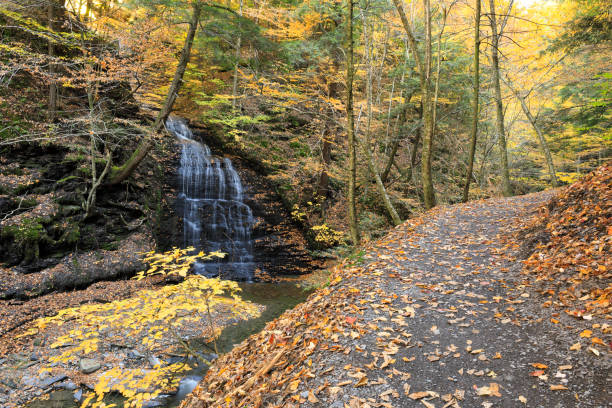 Fillmore Glen, New York State Park, Moravia, Cayuga County, New York