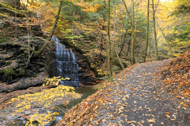 Ephemeral Waterfall, Fillmore Glen Autumn stock photo
