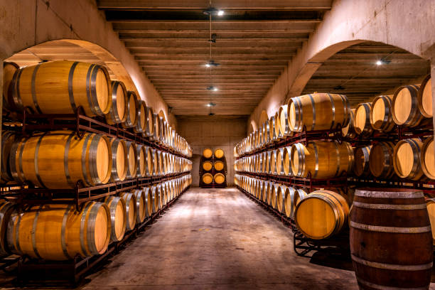 adega. barris de vinho ou uísque. barris de madeira franceses. - destilaria - fotografias e filmes do acervo