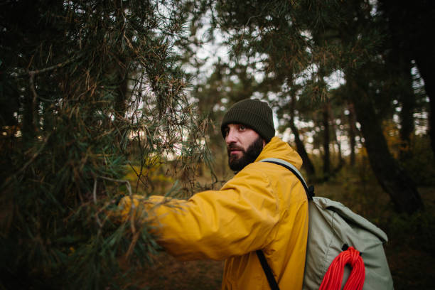 istock Traveler Walking Through The Forest 1436759430