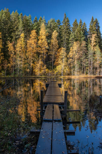 istock Wooden pier on a small pond with autumn colors 1436761503