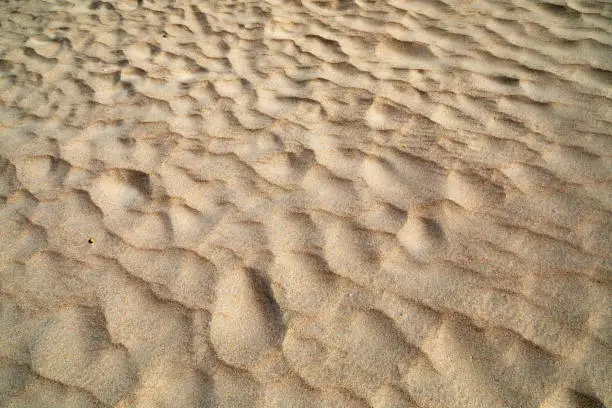 texture of sand waves at the beach