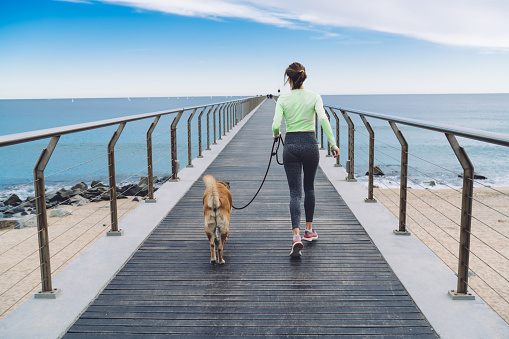 Slim fit girl spending morning leisure for walking lovely dog during promenade at seashore, determined runner jogging with mongrel dog enjoying multitasking and cardio training at coastline