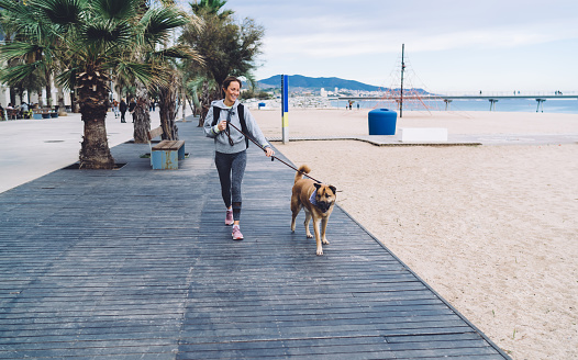 Full length mature female in activewear walking big mongrel dog on leash and smiling at daytime on promenade near beach