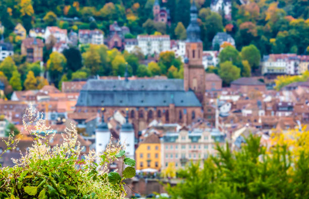 Heidelberg skyline aerial view from above