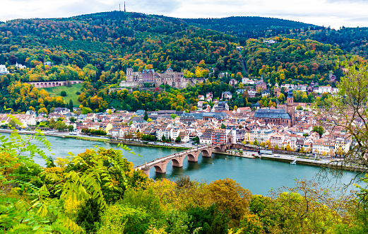 The view of Heidelberg and a green hillside covered with lush trees. Germany